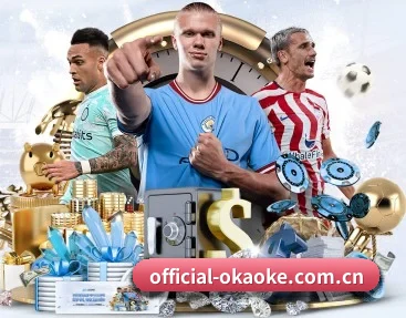 official-okaoke.com.cn APP 深度功能 - aoko
